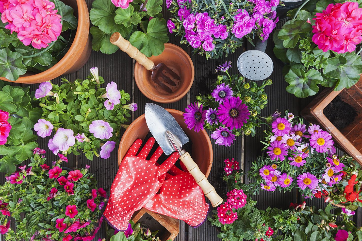Elevate Your Garden: Exploring Essential Garden Accessories